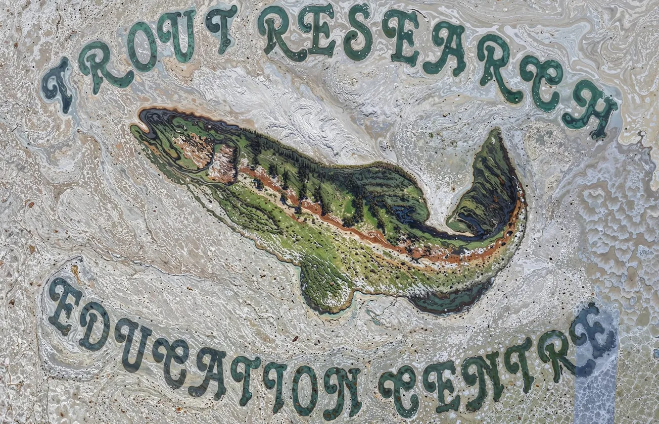 Why Trouts swim back to the stream where they were born