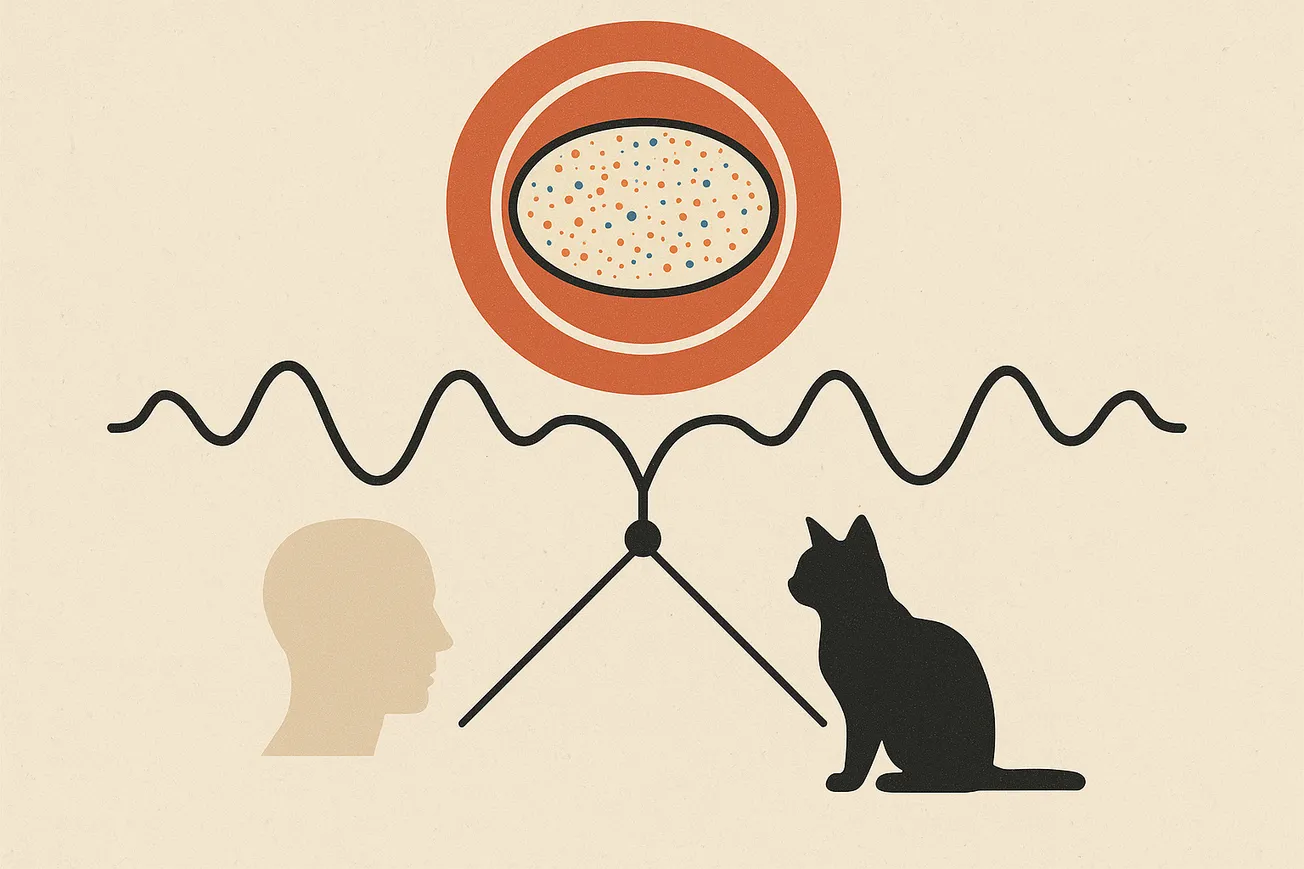 The CMB Paradox: How quantum superpositions collapsed without Observers?