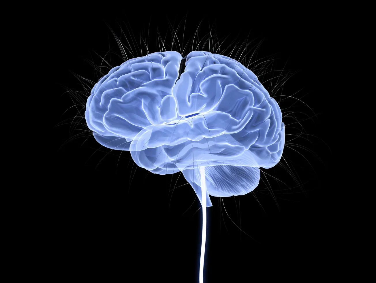 The Hard Problem: Do Computers "Feel"?